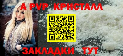 эйфоретик Кингисепп