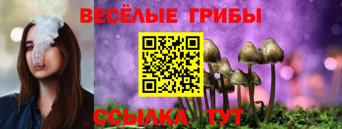 Псилоцибиновые грибы MAGIC MUSHROOMS  Вход с VPN  Красногорск  Галлюциногенные грибы MAGIC MUSHROOMS 